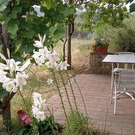 Sport Bikes And Nature Monterotondo