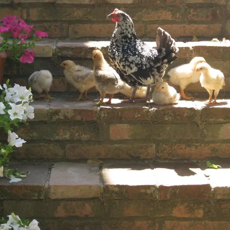 아파트 Sport Bikes And Nature *