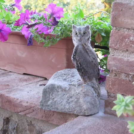 Sport Bikes And Nature *