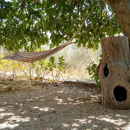 Sport Bikes And Nature 몬테로톤도