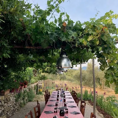 아파트 Sport Bikes And Nature